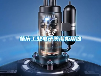 常見問題肇慶工業(yè)電子防潮柜用途