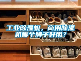 常見問題工業除濕機，商用除濕機哪個牌子好用？