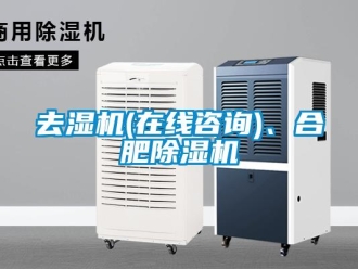 行業新聞去濕機(在線咨詢)、合肥除濕機