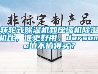 常見(jiàn)問(wèn)題轉(zhuǎn)輪式除濕機(jī)和壓縮機(jī)除濕機(jī)比，誰(shuí)更好用，darsome值不值得買(mǎi)？