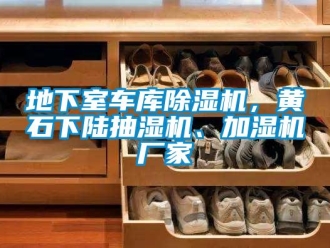 企業新聞地下室車庫除濕機，黃石下陸抽濕機、加濕機廠家