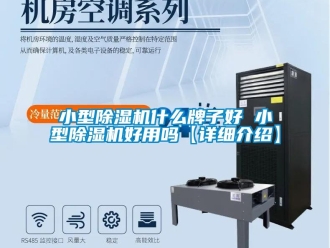 行業(yè)新聞小型除濕機(jī)什么牌子好 小型除濕機(jī)好用嗎【詳細(xì)介紹】