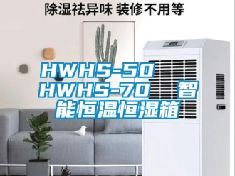 常見問題HWHS-50   HWHS-70  智能恒溫恒濕箱