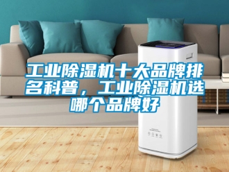 常見問題工業除濕機十大品牌排名科普，工業除濕機選哪個品牌好