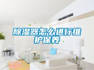 行業(yè)新聞除濕器怎么進(jìn)行維護(hù)保養(yǎng)