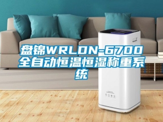 知識百科盤錦WRLDN-6700全自動恒溫恒濕稱重系統
