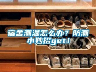 常見問題宿舍潮濕怎么辦？防潮小妙招get！