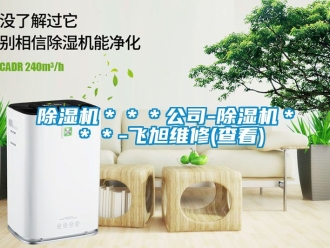 企業新聞除濕機＊＊＊公司-除濕機＊＊＊-飛旭維修(查看)