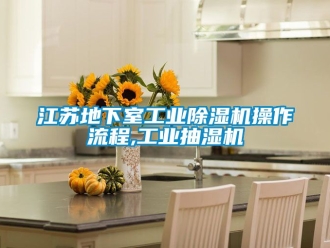 常見問題江蘇地下室工業除濕機操作流程,工業抽濕機