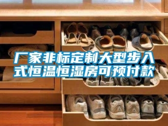 知識(shí)百科廠家非標(biāo)定制大型步入式恒溫恒濕房可預(yù)付款