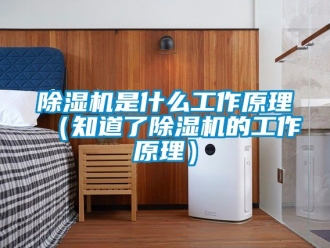 行業(yè)新聞除濕機是什么工作原理（知道了除濕機的工作原理）