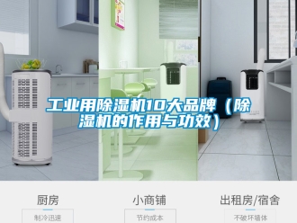 常見問題工業用除濕機10大品牌（除濕機的作用與功效）