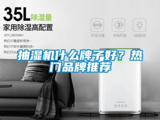 企業新聞抽濕機什么牌子好？熱門品牌推薦