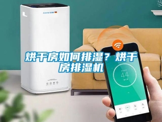 常見問題烘干房如何排濕？烘干房排濕機