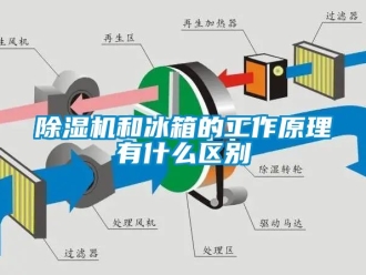 行業(yè)新聞除濕機(jī)和冰箱的工作原理有什么區(qū)別