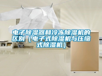 行業新聞電子除濕器和冷凍除濕機的區別（電子式除濕機與壓縮式除濕機）