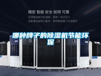 行業新聞哪種牌子的除濕機節能環保