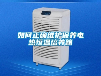 知識百科如何正確維護保養電熱恒溫培養箱