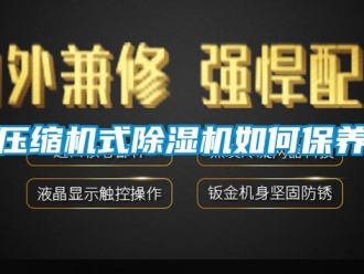 常見問題壓縮機式除濕機如何保養