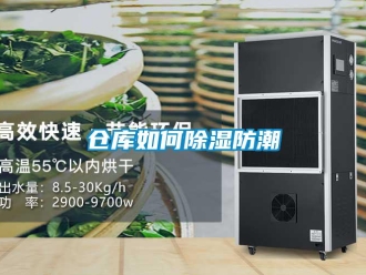 常見問題倉庫如何除濕防潮