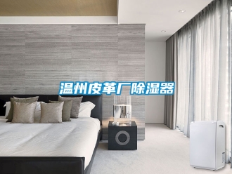 行業新聞溫州皮革廠除濕器