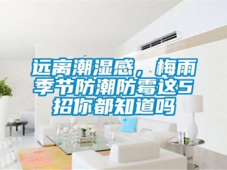 常見問題遠離潮濕感，梅雨季節防潮防霉這5招你都知道嗎