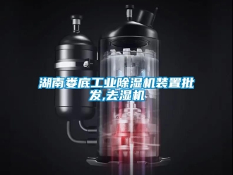 常見問題湖南婁底工業除濕機裝置批發,去濕機