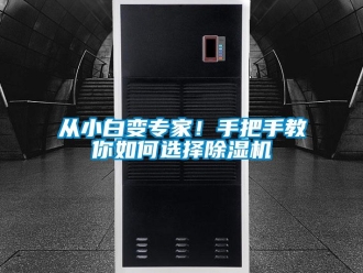行業(yè)新聞從小白變專家！手把手教你如何選擇除濕機