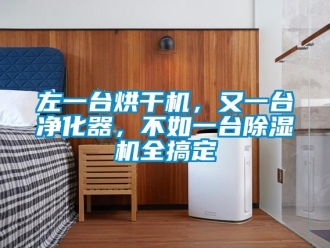 行業(yè)新聞左一臺烘干機(jī)，又一臺凈化器，不如一臺除濕機(jī)全搞定