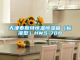 知識百科天津泰斯特恒溫恒濕箱（標準型）HWS-70B