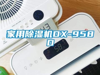 常見問題家用除濕機DX-958D