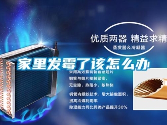 常見問題家里發霉了該怎么辦