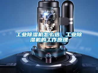 常見問題工業(yè)除濕機怎么選，工業(yè)除濕機的工作原理