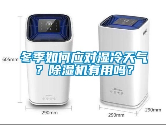 常見問題冬季如何應對濕冷天氣？除濕機有用嗎？