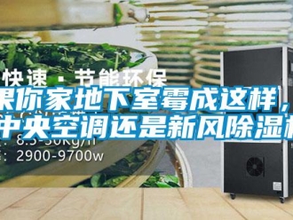 行業(yè)新聞如果你家地下室霉成這樣，選裝中央空調(diào)還是新風除濕機？