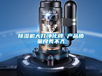 企業新聞除濕機大打凈化牌 產品質量良莠不齊