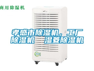 行業(yè)新聞孝感市除濕機(jī)，工廠除濕機(jī)  濕菱除濕機(jī)