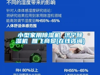 常見問題小型家用除濕機 濟寧除濕機 雁飛商貿(在線咨詢)