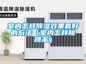 企業(yè)新聞室內怎樣除濕效果最好的方法（室內怎樣除跳蚤）