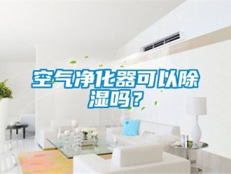 行業新聞空氣凈化器可以除濕嗎？
