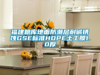 常見問題福建糧庫地面防潮層耐堿銹蝕GSE標準HDPE土工膜1.0厚