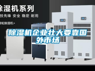 企業(yè)新聞除濕機(jī)企業(yè)壯大要靠國(guó)外市場(chǎng)