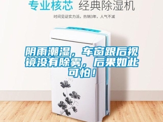 知識百科陰雨潮濕，車窗跟后視鏡沒有除霧，后果如此可怕！