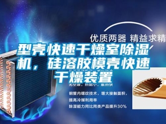 行業(yè)新聞型殼快速干燥室除濕機(jī)，硅溶膠模殼快速干燥裝置