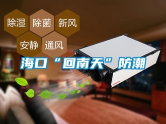 行業新聞海口“回南天”防潮