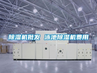 行業新聞除濕機批發 泳池除濕機費用