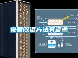 企業(yè)新聞家居除濕方法有哪些