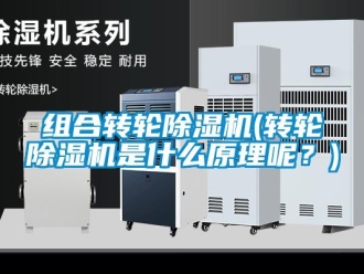 知識百科組合轉輪除濕機(轉輪除濕機是什么原理呢？)