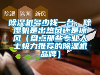 企業新聞除濕機多少錢一臺，除濕機是出熱風還是涼風（盤點那些專業人士極力推薦的除濕機品牌）