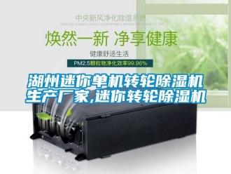 企業新聞湖州迷你單機轉輪除濕機生產廠家,迷你轉輪除濕機
